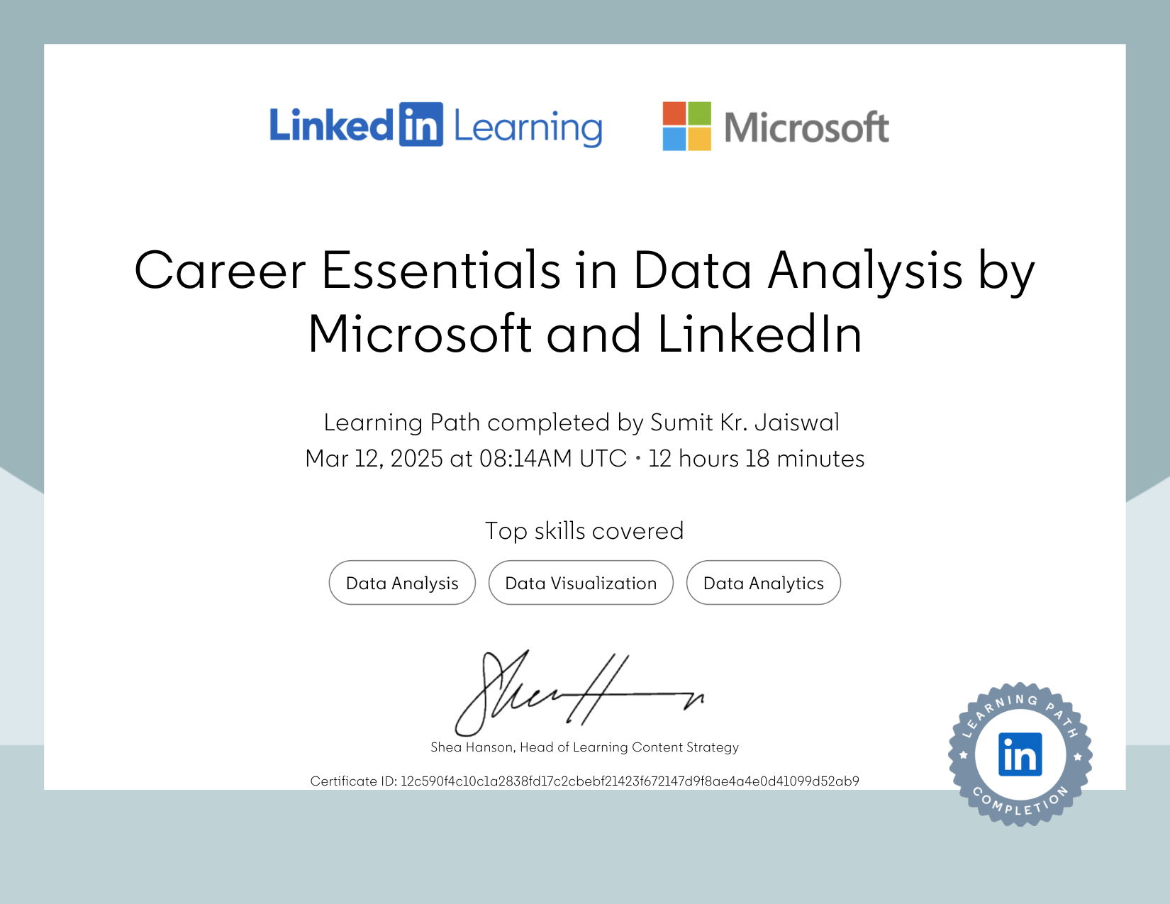 Career Essentials in Data Analysis